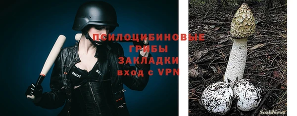 Альфа ПВП Волоколамск
