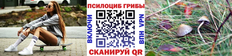 KRAKEN ссылка  Славянск-на-Кубани  Галлюциногенные грибы Magic Shrooms  где купить  